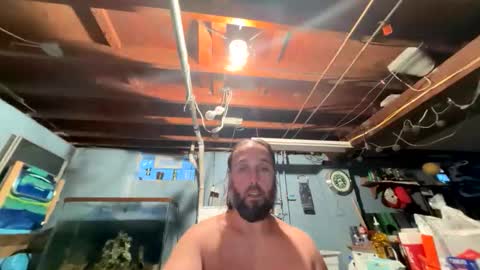 33adidas online show from April 5, 2026, 11:29 am