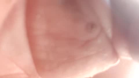 Snapshot of 3this88guy chatting on February 12, 2025, 7:24 pm Thisguy online show from February 12, 2025, 7:24 pm