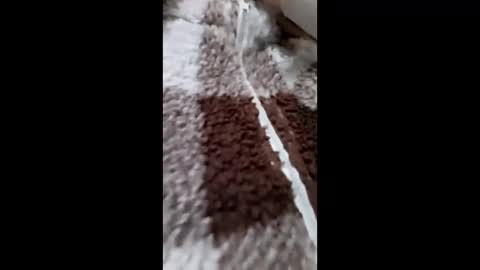 3X NAXAA online show from February 15, 2026, 1:20 pm