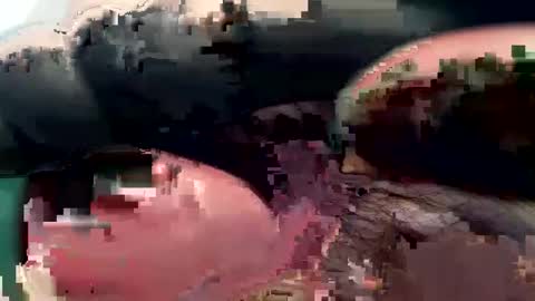 Snapshot of 420_johnnystamina chatting on February 15, 2025, 4:45 pm 420_johnnystamina online show from February 15, 2025, 4:45 pm