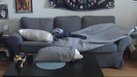 Anomander Rake online show from March 13, 2026, 1:07 pm