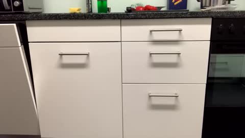 Alex online show from November 27, 2025, 5:37 pm