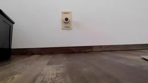 Steven online show from January 13, 2026, 11:04 am