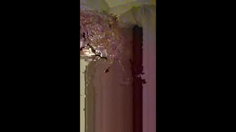 Zeus online show from February 22, 2026, 3:40 am