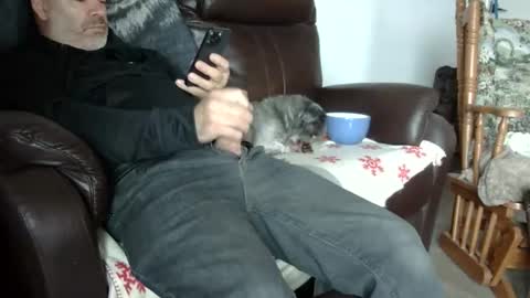 66bear online show from October 31, 2025, 5:47 pm