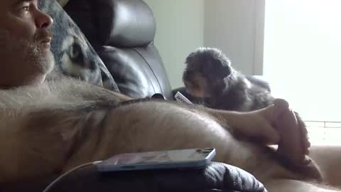 66bear online show from May 31, 2026, 2:24 pm