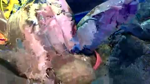 6990fiko online show from October 27, 2025, 11:58 am