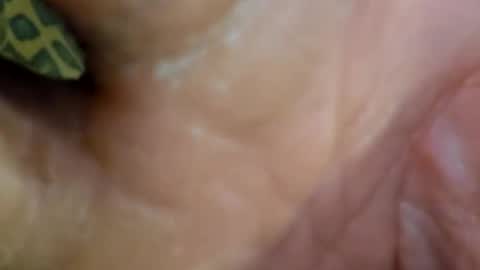 Snapshot of 69dick_fitzwell69 chatting on December 7, 2024, 9:00 pm HUGH G RECTION online show from December 7, 2024, 9:00 pm