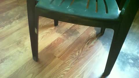 69forever453443 online show from October 9, 2025, 12:25 pm