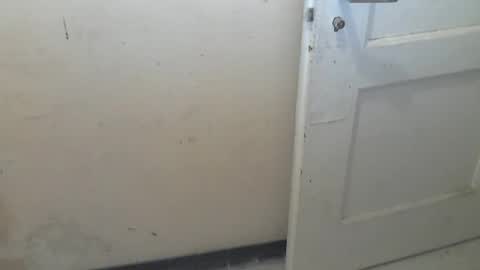 69pifpaf online show from January 31, 2025, 2:17 pm