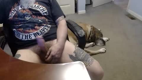 MASTIFF online show from May 12, 2026, 12:41 am