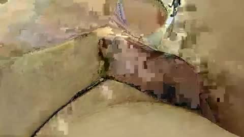 8385 online show from March 3, 2025, 12:15 am