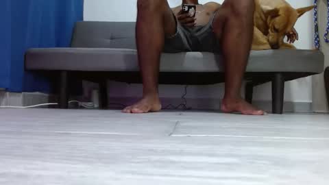 Alpha pprs online show from February 13, 2026, 10:44 am