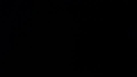 Snapshot of _aafrodita__ chatting on November 26, 2025, 11:55 am Alexa online show from November 26, 2025, 11:55 am