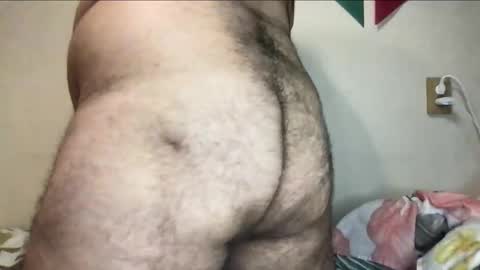 Snapshot of _alan_bear_ chatting on November 3, 2025, 6:09 pm Alan online show from November 3, 2025, 6:09 pm