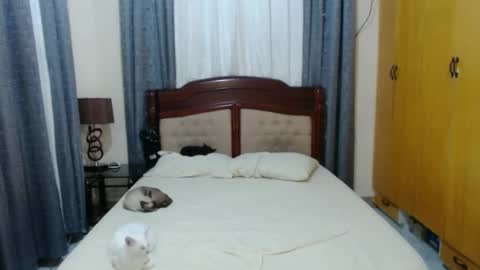 Amber online show from January 30, 2025, 5:39 pm