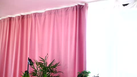 Arielle online show from January 4, 2025, 12:05 pm