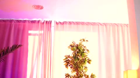 Arielle online show from February 14, 2025, 12:25 pm