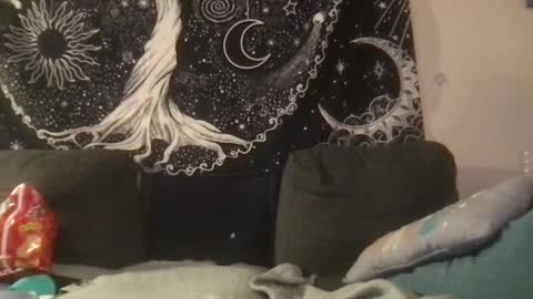 Snapshot of _bandit_b0y chatting on February 1, 2025, 2:05 am bandit online show from February 1, 2025, 2:05 am