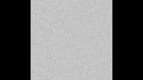 Brenda online show from September 24, 2025, 11:46 am