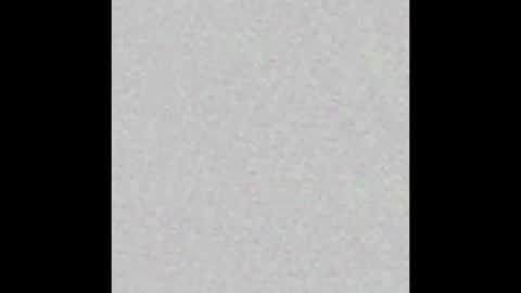 Brenda online show from November 6, 2025, 11:44 am