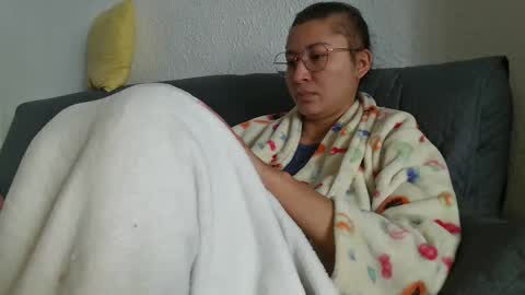 cat online show from February 12, 2026, 2:56 pm