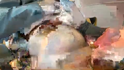 Ginger boy online show from February 9, 2025, 10:20 am