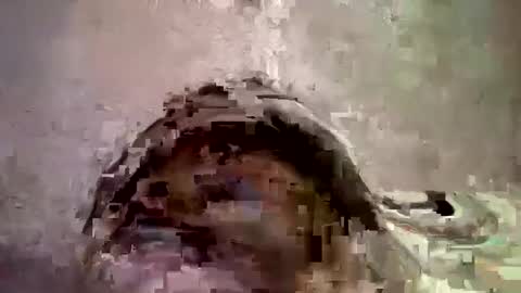 _hershey003 online show from January 11, 2025, 8:33 am