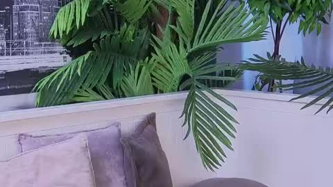 Lana online show from April 10, 2026, 8:19 am