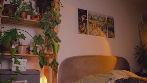 Salome   Lovense always on from 5 tk   My content and your custom requests  online show from June 9, 2026, 2:56 am