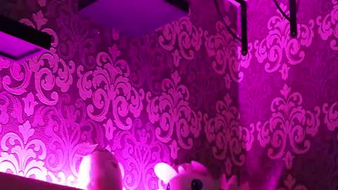 Stream  at  am in MoscowI am waiting for you very much3 online show from February 23, 2025, 11:47 pm