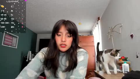 Next stream  950 pm Colombia time xd online show from February 22, 2025, 10:09 pm