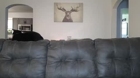 Snapshot of _sophia_grace_ chatting on October 3, 2025, 4:37 pm SophiaGraceKnight online show from October 3, 2025, 4:37 pm