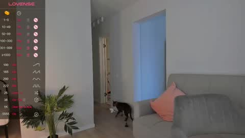 Tessa -  online show from February 10, 2025, 9:58 am