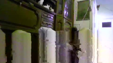 a203530 online show from February 4, 2026, 8:53 am