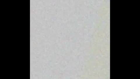 Aaliyah Wesler Tacchini online show from September 21, 2025, 1:51 am