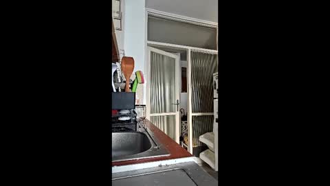 Snapshot of abbel_stone chatting on March 15, 2026, 3:51 pm abbel_stone online show from March 15, 2026, 3:51 pm