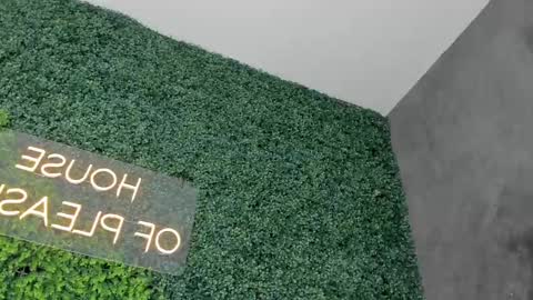 Snapshot of abby_me chatting on February 26, 2025, 6:21 pm A B B Y online show from February 26, 2025, 6:21 pm