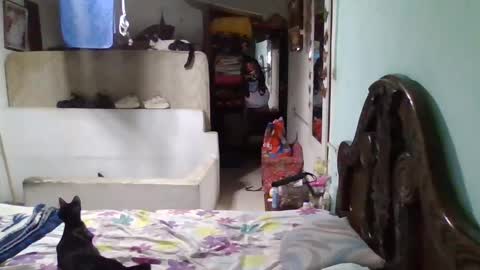 Snapshot of abbyasher chatting on January 26, 2025, 11:50 pm Abby online show from January 26, 2025, 11:50 pm