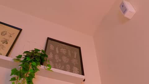 A B B Y online show from February 23, 2026, 12:02 pm