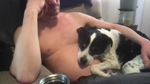 abe_froman2007 online show from March 8, 2025, 10:13 pm