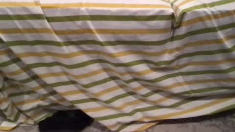 abe_froman2007 online show from February 11, 2026, 7:24 am