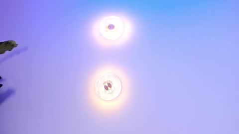 Abi online show from September 27, 2025, 2:05 am