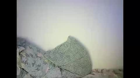 Snapshot of abigailove4u chatting on February 22, 2025, 11:46 pm GoldenFish online show from February 22, 2025, 11:46 pm