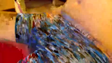 abigspermdonor online show from January 13, 2026, 1:11 am