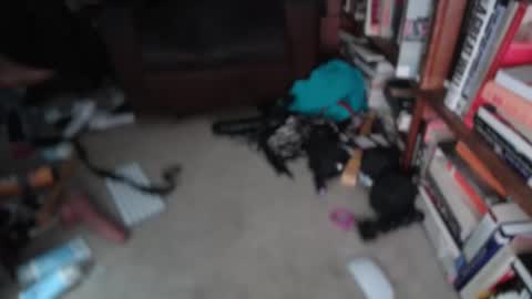 aCACiAs2022 online show from March 1, 2026, 1:24 pm