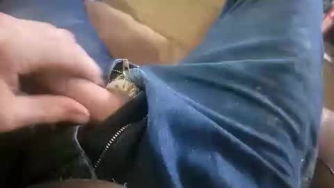 Snapshot of acemcdade chatting on January 19, 2025, 8:51 pm Ace online show from January 19, 2025, 8:51 pm