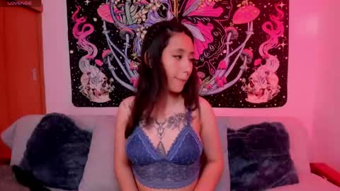 Ali Next Stream  01122024 - GMT-5  online show from April 22, 2026, 10:55 pm