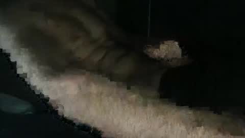 Snapshot of acid_lab chatting on December 16, 2024, 2:27 pm acid_lab online show from December 16, 2024, 2:27 pm