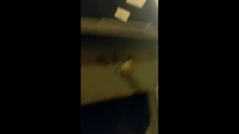 adam000985057 online show from January 31, 2025, 2:04 am